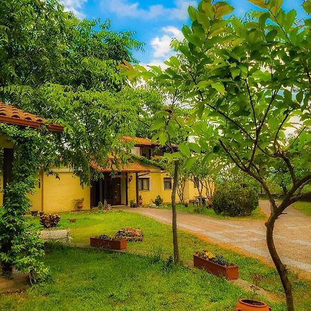 Villa Anthemia Naousa  Bagian luar foto